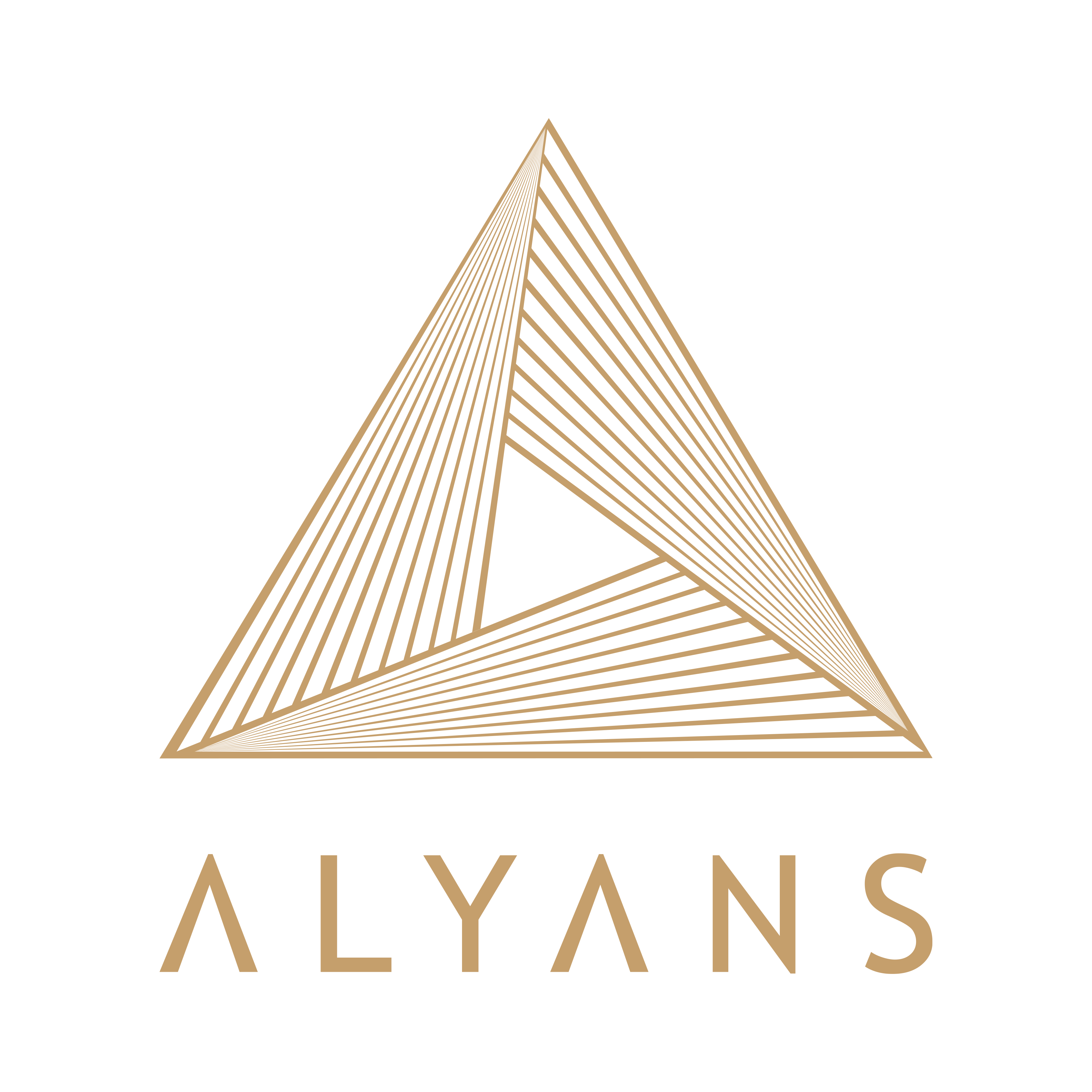 “Alyans Tekstil” MMC